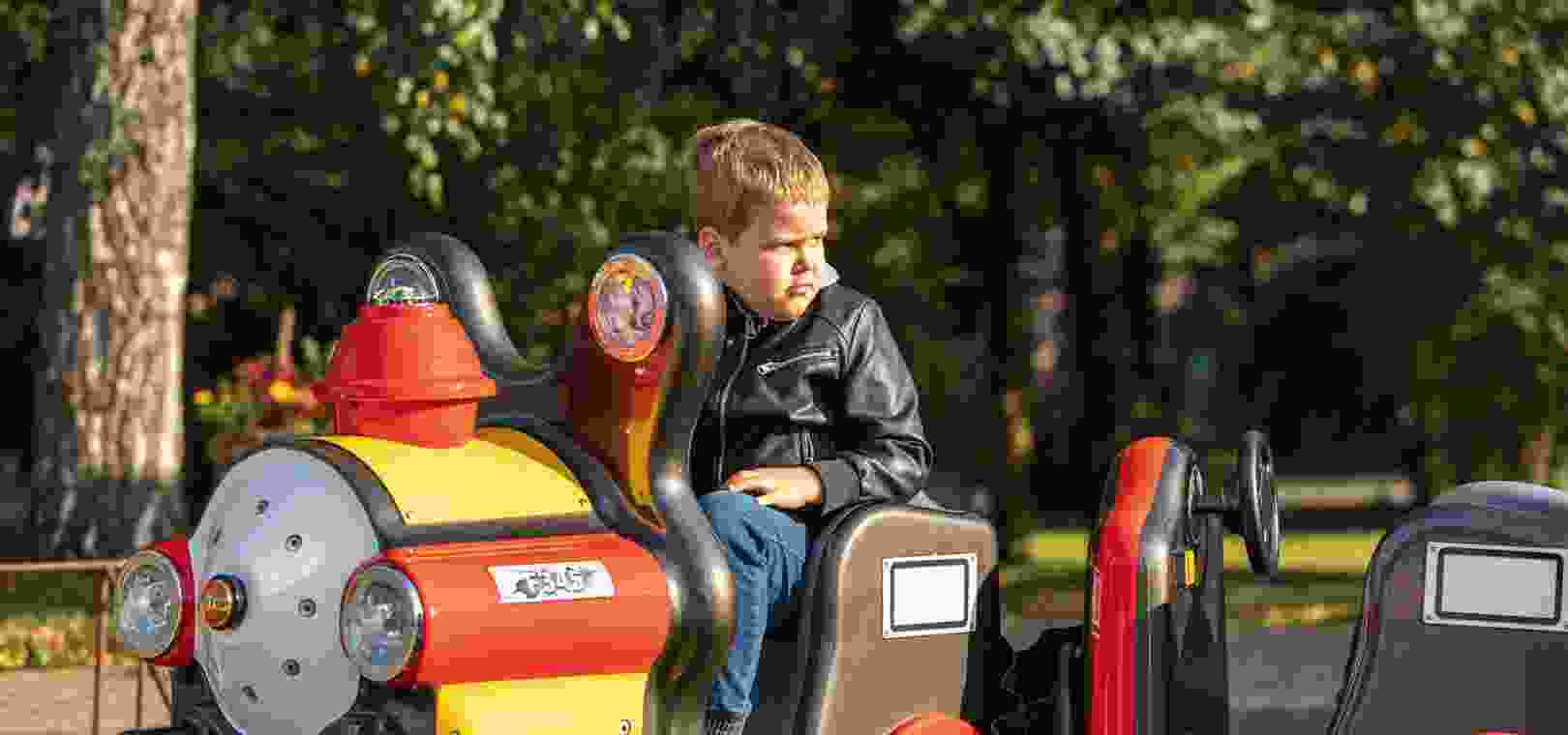 Mini Train Ride