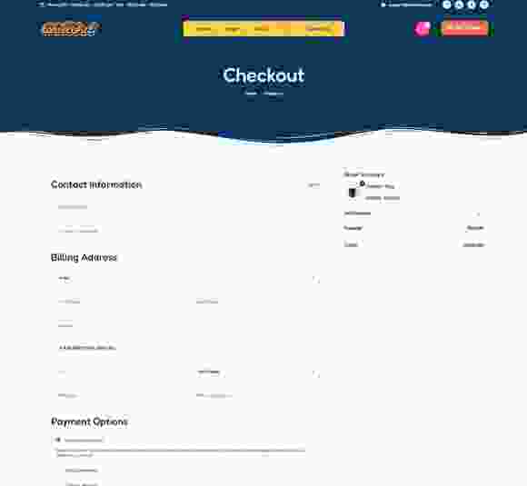 Checkout-page